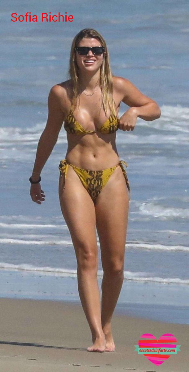 Sofia Richie en la playa se ajusta el top