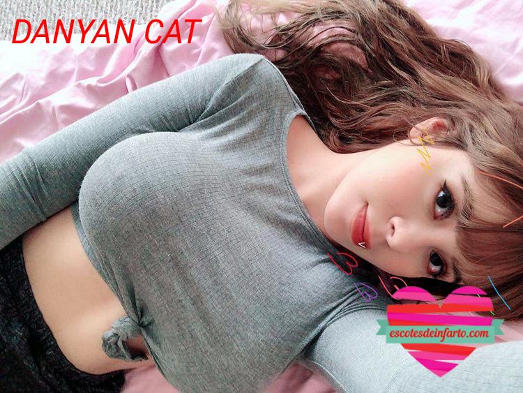 Danyan Cat tumbada con camiseta gris