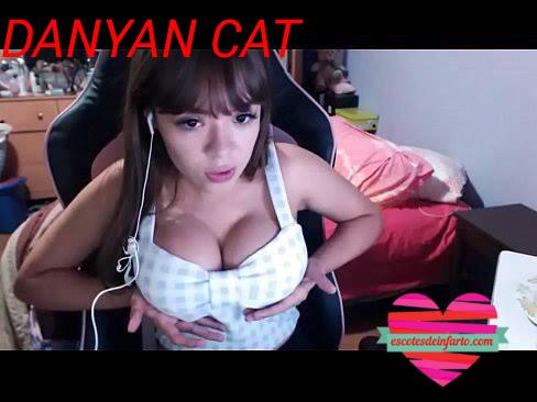 Danyan Cat Pack