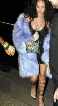 Rihanna Embarazada Muestras sus Bubis 1